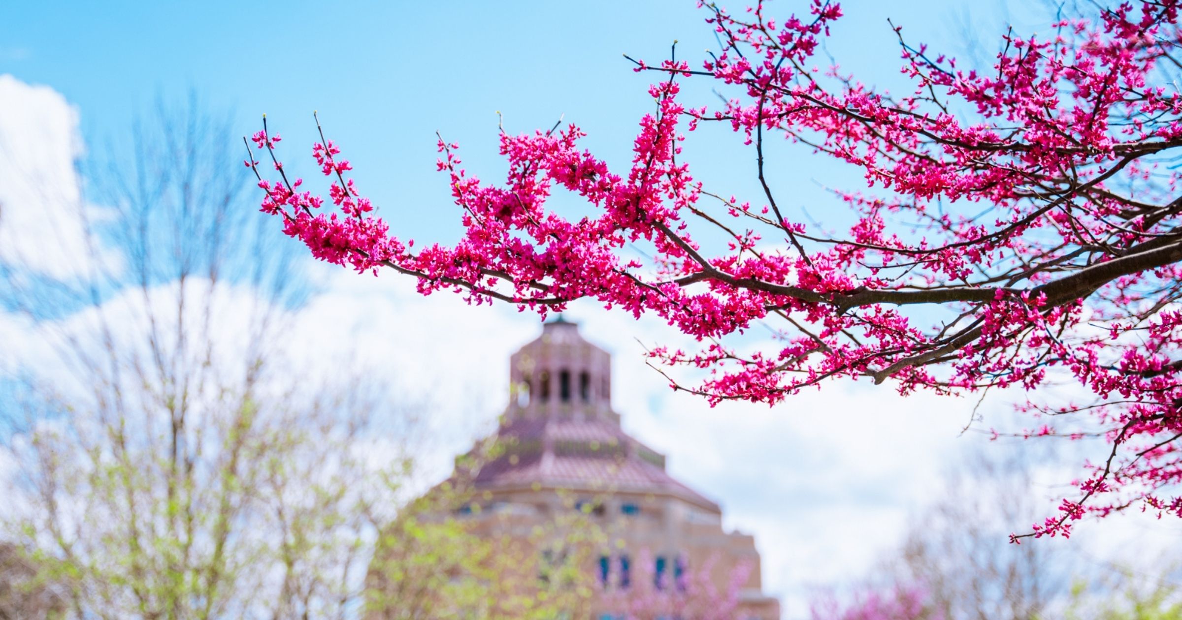 southeast group travel destinations