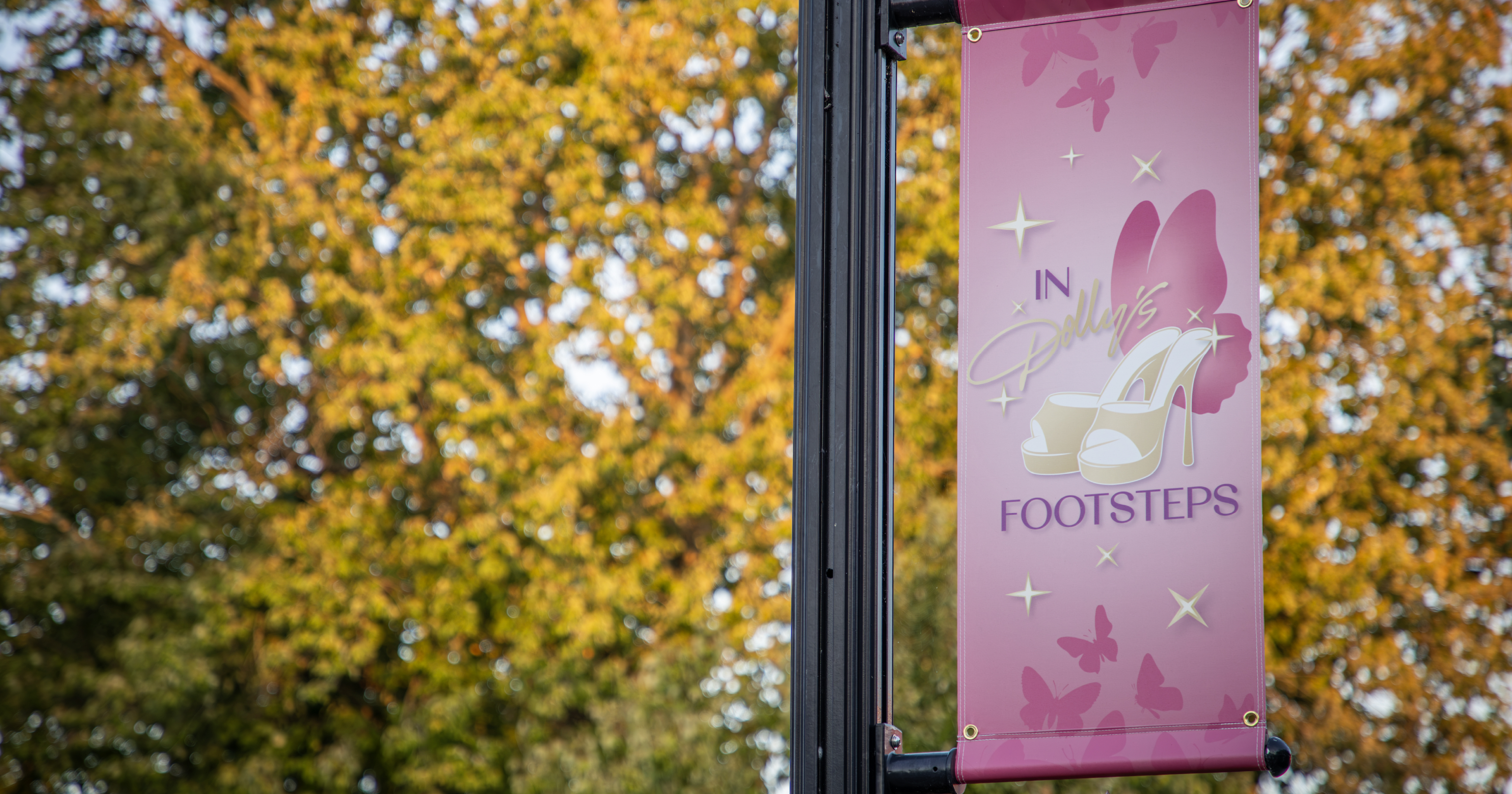 In Dolly's Footsteps