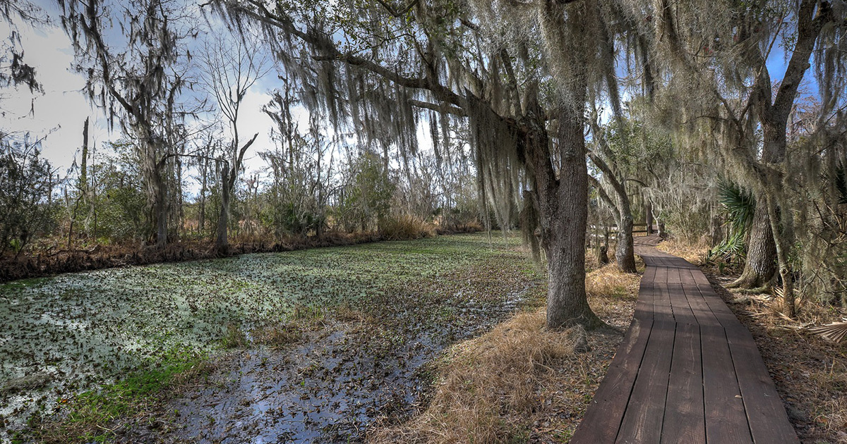 Enjoy a Wild Time in Jefferson Parish!